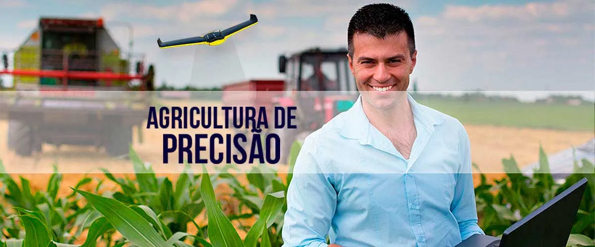 Serviços