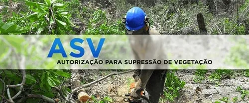 Serviços